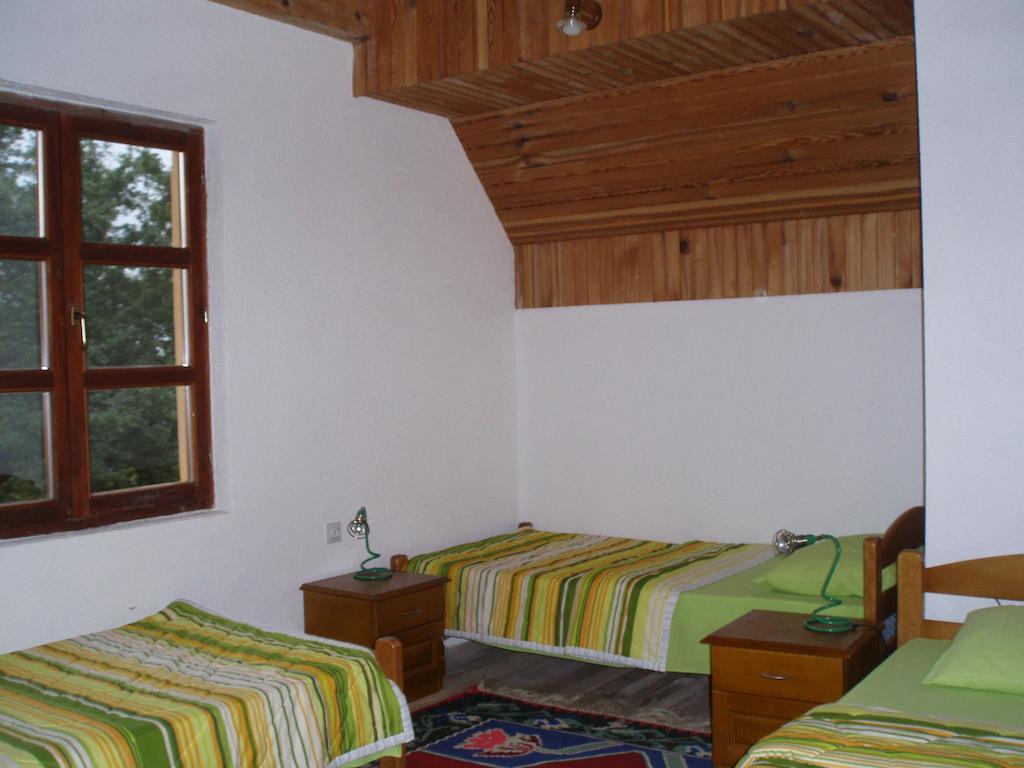 Guest House Tara Canyon Pljevlja Szoba fotó