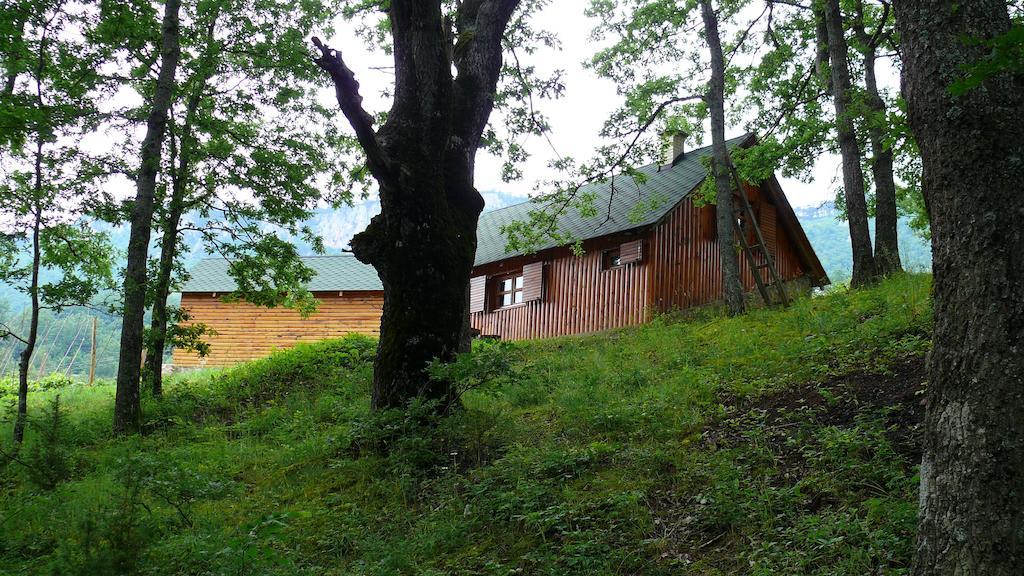 Guest House Tara Canyon Pljevlja Kültér fotó