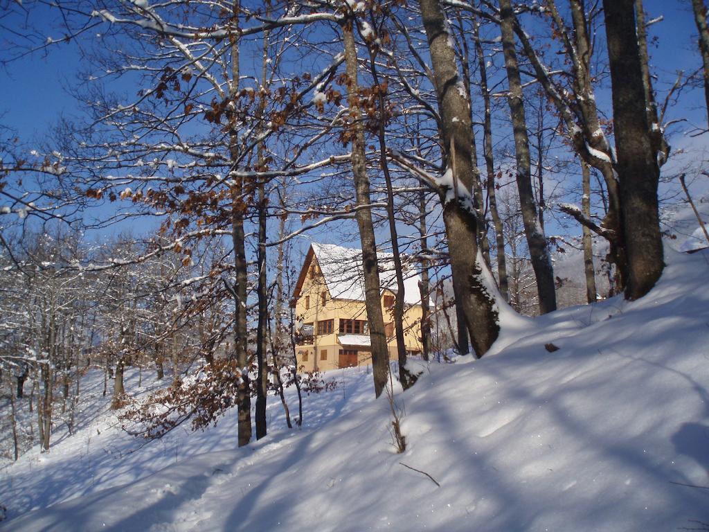 Guest House Tara Canyon Pljevlja Kültér fotó