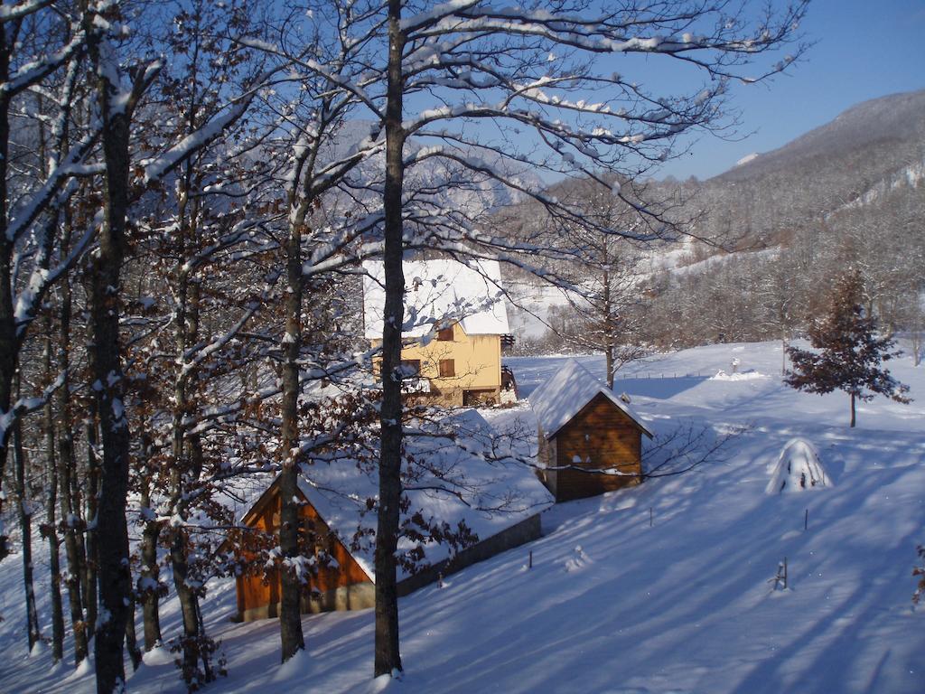Guest House Tara Canyon Pljevlja Kültér fotó